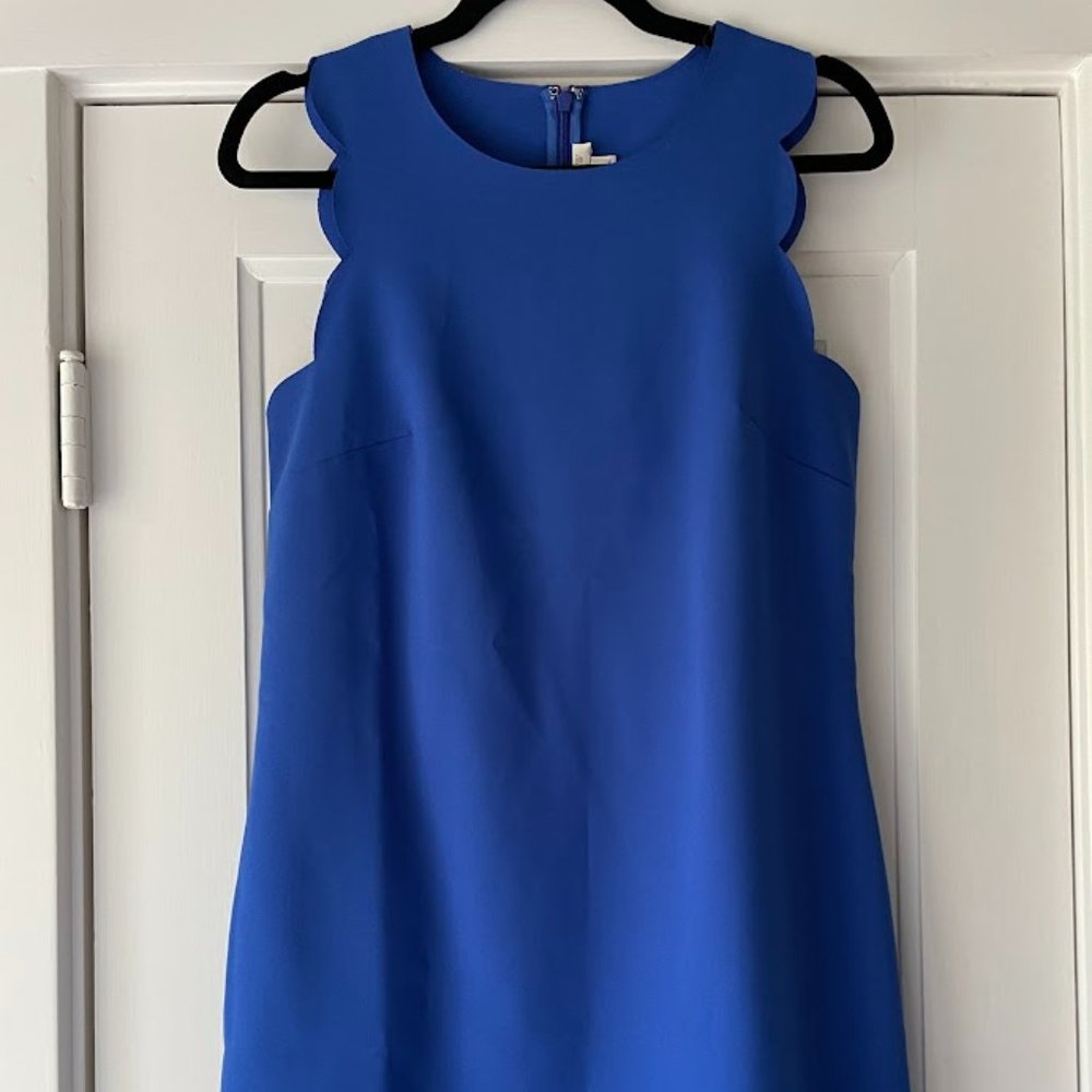 J Crew Scalloped Sleeveless Cobalt Blue Shift Dress - Size 4